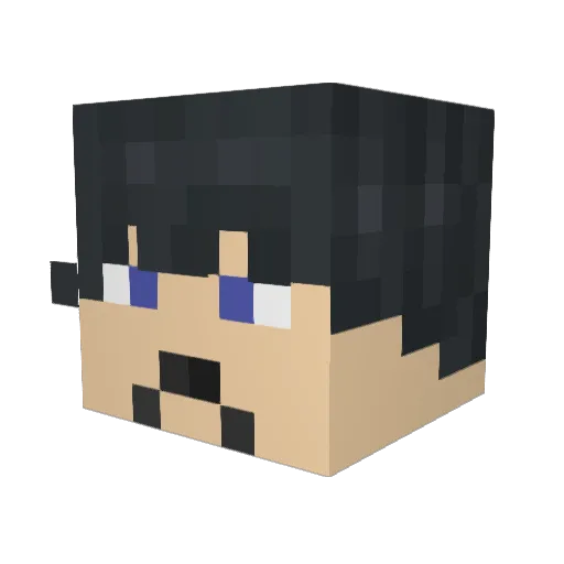 Little_Bitz Minecraft avatar head, 3D render