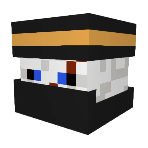 Little_Bratan Minecraft avatar head, 3D render