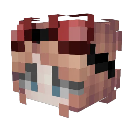 Little_Buzzy_Bee Minecraft avatar head, 3D render