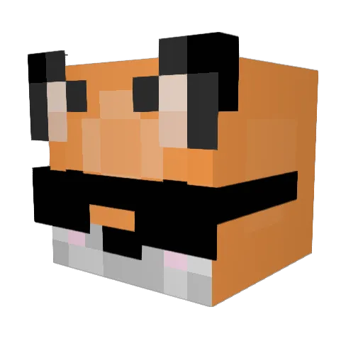 Little_Chewie Minecraft avatar head, 3D render