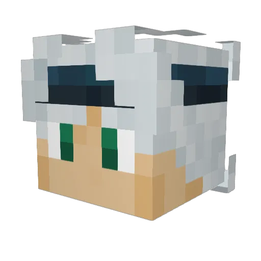 Little_Crisis Minecraft avatar head, 3D render