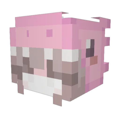 Little_CryBaby_ Minecraft avatar head, 3D render