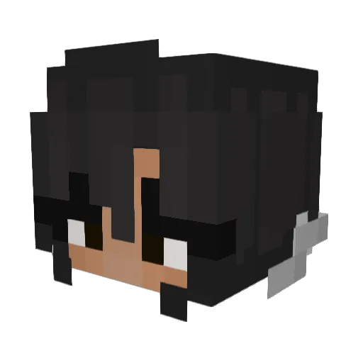 Little_Ducky_ Minecraft avatar head, 3D render