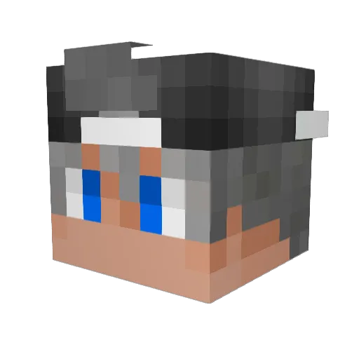 Little_Fag_Boy Minecraft avatar head, 3D render