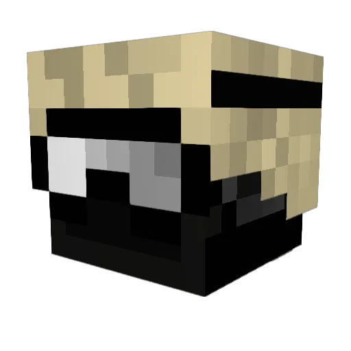 Little_Gijs Minecraft avatar head, 3D render