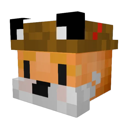 Little_Jon Minecraft avatar head, 3D render