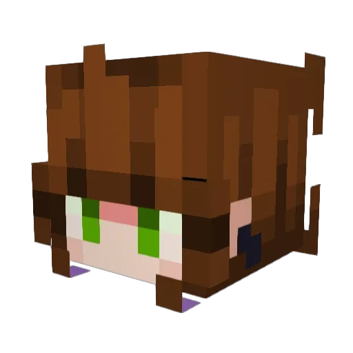 Little_Konky Minecraft avatar head, 3D render
