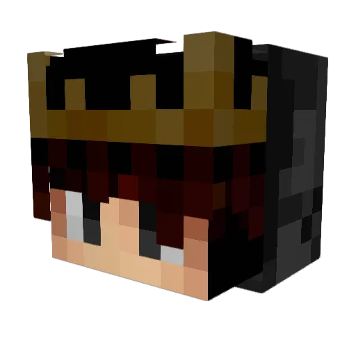 Little_LEMON123 Minecraft avatar head, 3D render
