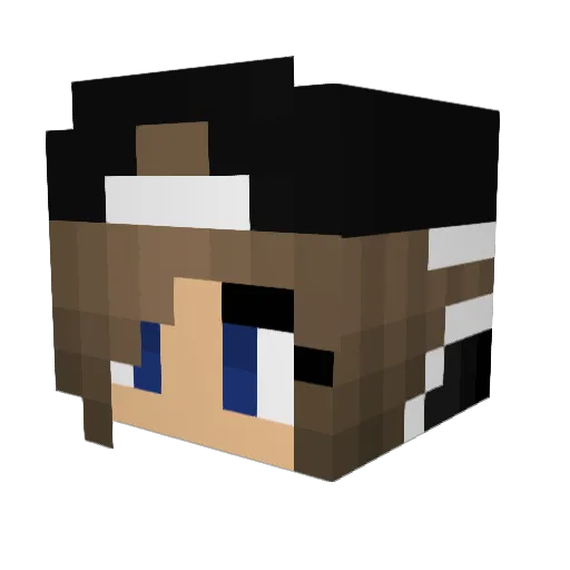 Little_Nedelcs Minecraft avatar head, 3D render