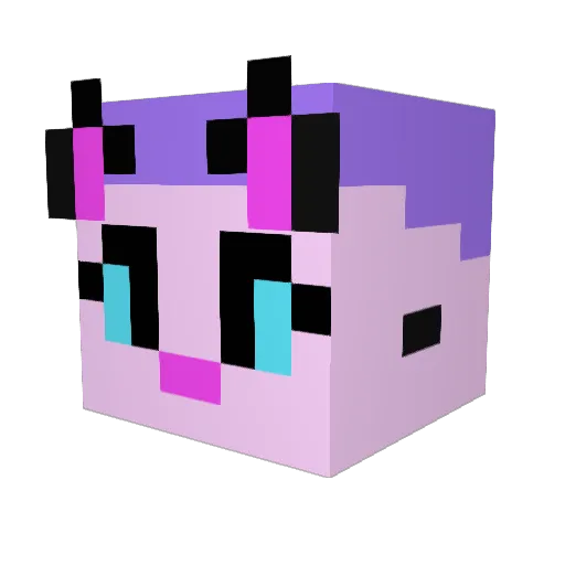 Little_Nomster Minecraft avatar head, 3D render