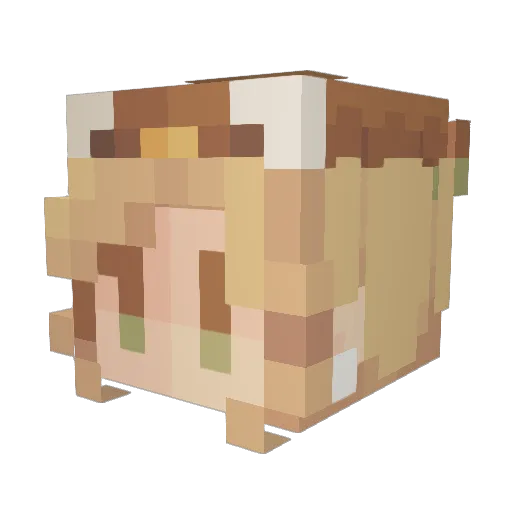 Little_Sloww Minecraft avatar head, 3D render