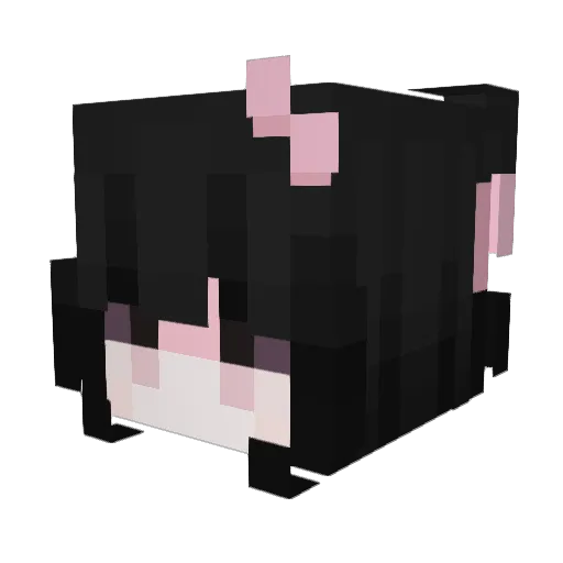 Little_SoK Minecraft avatar head, 3D render