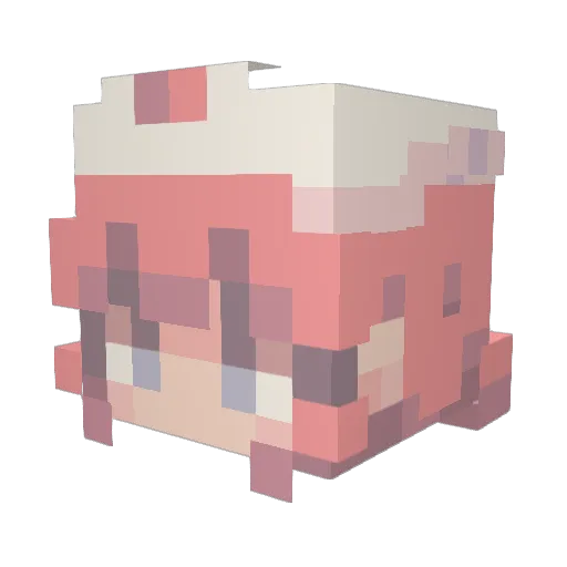 Little_Squirtle Minecraft avatar head, 3D render