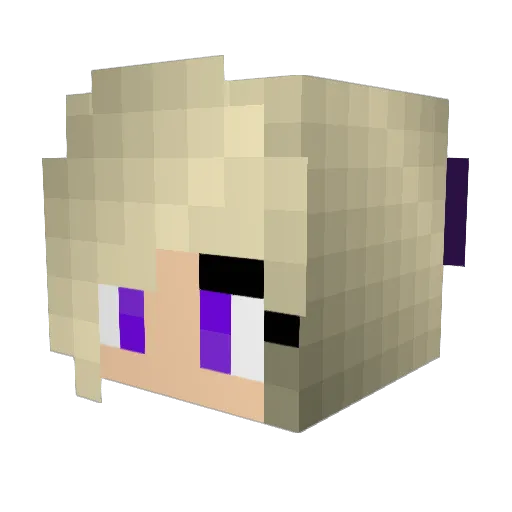 Little_Terminus Minecraft avatar head, 3D render