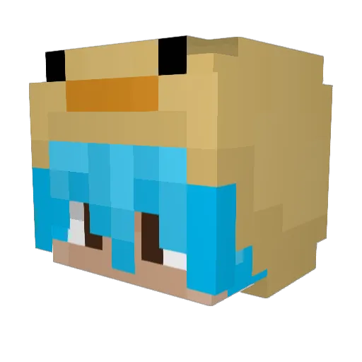 Little_Waddles Minecraft avatar head, 3D render
