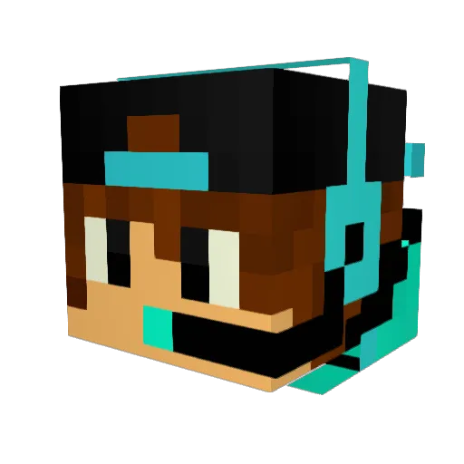Little_Wayne9571 Minecraft avatar head, 3D render