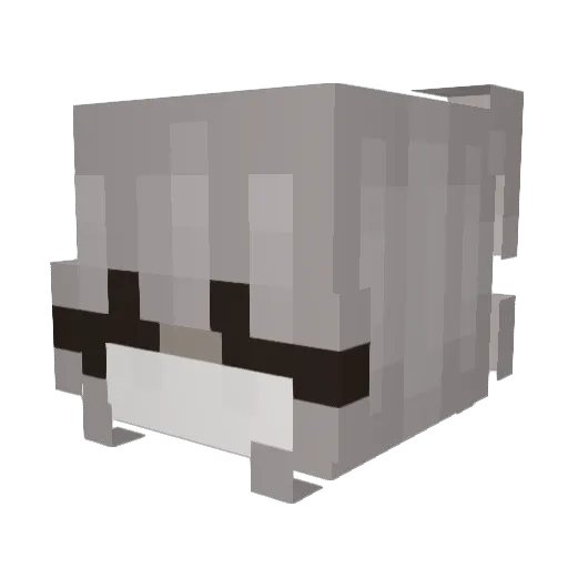 Little_duc Minecraft avatar head, 3D render