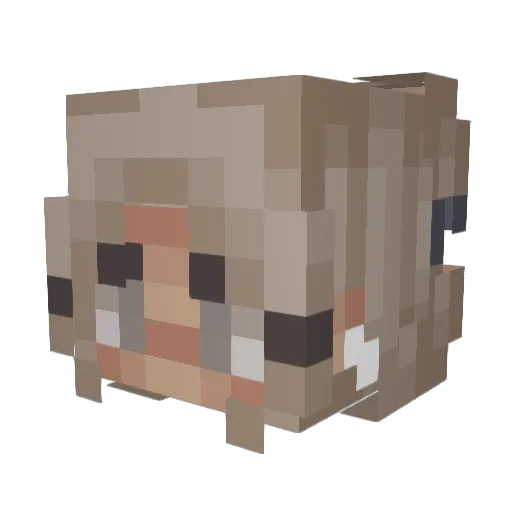 Little_ella_girl Minecraft avatar head, 3D render