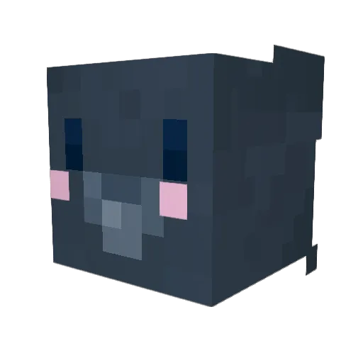 Little_magpie14 Minecraft avatar head, 3D render