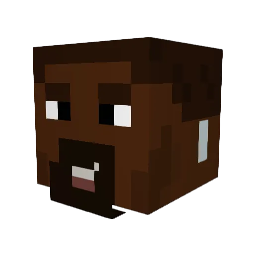 Little_toe69 Minecraft avatar head, 3D render