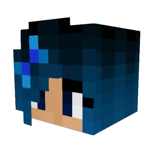 Little_v_93 Minecraft avatar head, 3D render