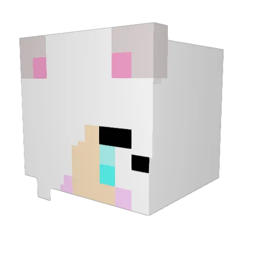 Littleamy321 Minecraft avatar head, 3D render