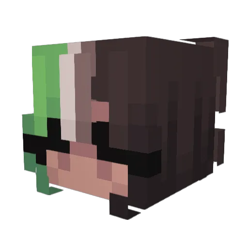 Littledragon54 Minecraft avatar head, 3D render