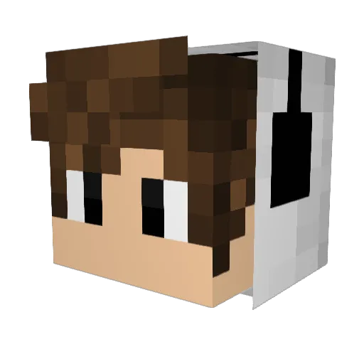 Littlejason_ Minecraft avatar head, 3D render