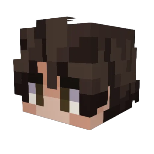 Littlejim2003 Minecraft avatar head, 3D render
