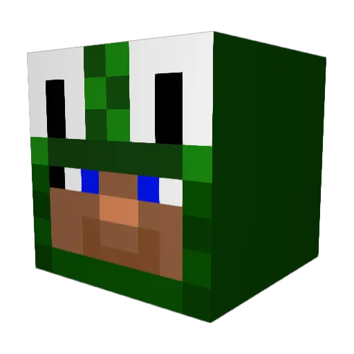 Littlelizzard21 Minecraft avatar head, 3D render