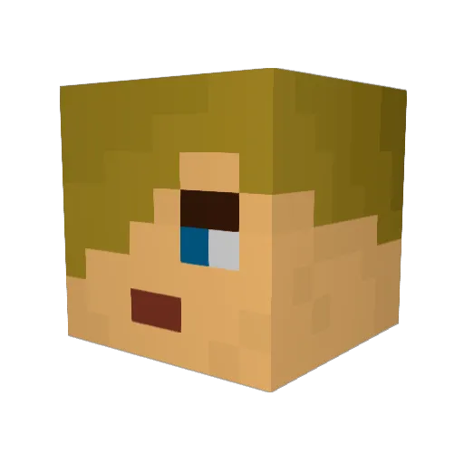 Littleman_98 Minecraft avatar head, 3D render