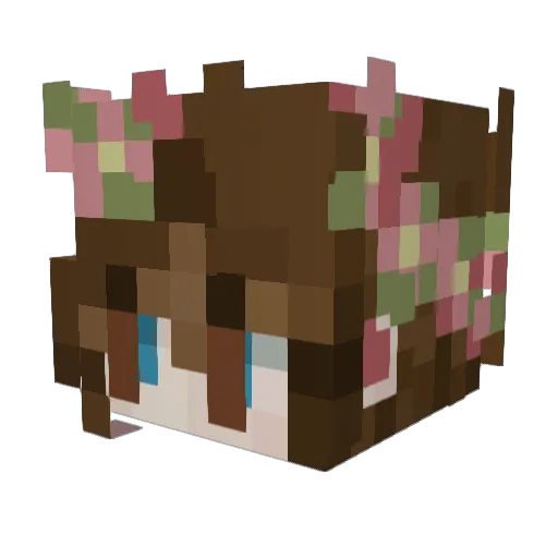 Littlemouse8030 Minecraft avatar head, 3D render