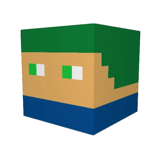 Littleninja1909 Minecraft avatar head, 3D render