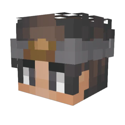 Littlepaladin_ Minecraft avatar head, 3D render