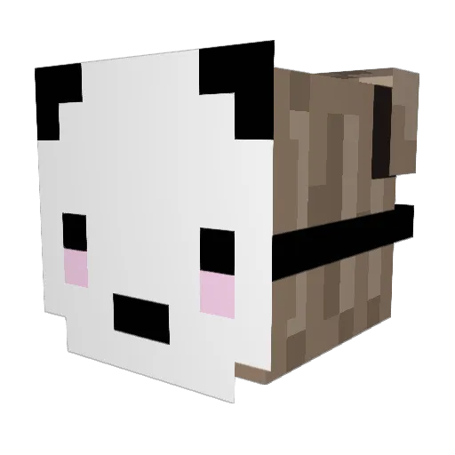 Littlerat_171 Minecraft avatar head, 3D render