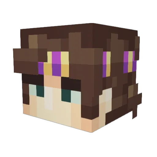 Littleskate20 Minecraft avatar head, 3D render
