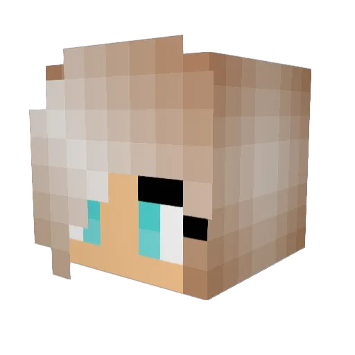 Littletaddy Minecraft avatar head, 3D render