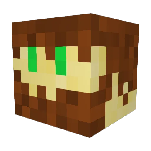 Littletickle112 Minecraft avatar head, 3D render