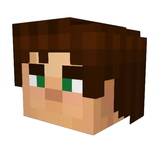 Littletord2023 Minecraft avatar head, 3D render