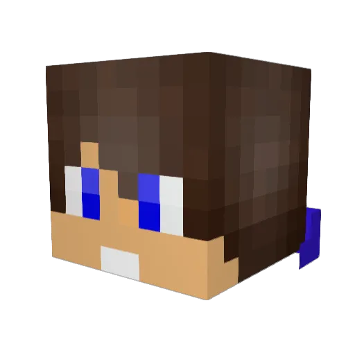 Littlewany Minecraft avatar head, 3D render