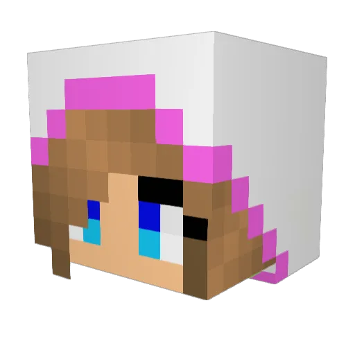 Littleyu0110 Minecraft avatar head, 3D render