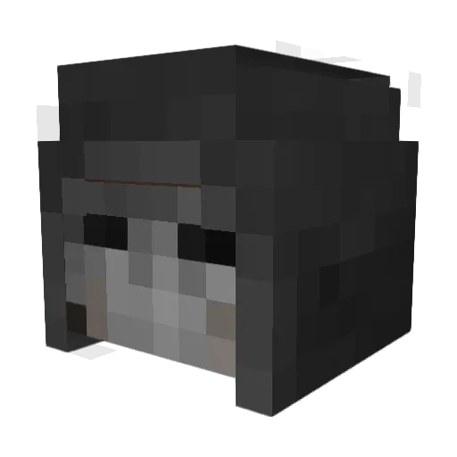 LittySmitty98 Minecraft avatar head, 3D render