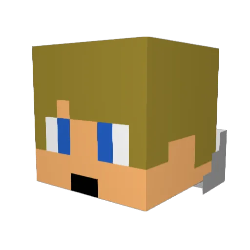 Litus_26 Minecraft avatar head, 3D render