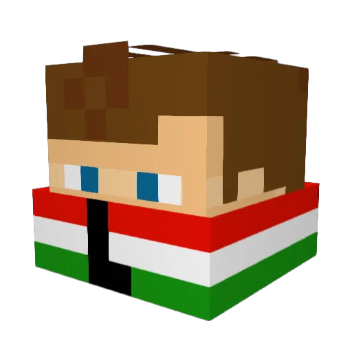 Litwin271 Minecraft avatar head, 3D render