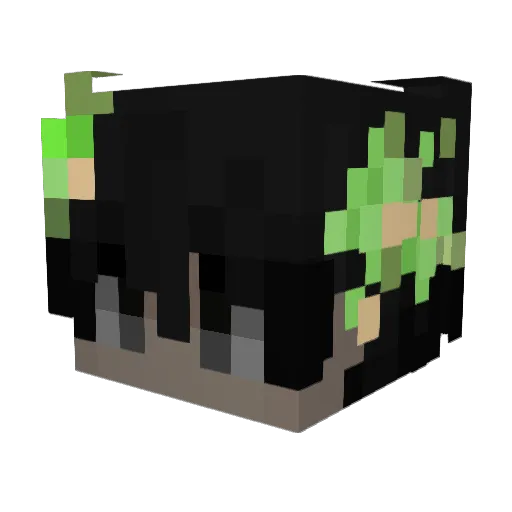Litzek Minecraft avatar head, 3D render