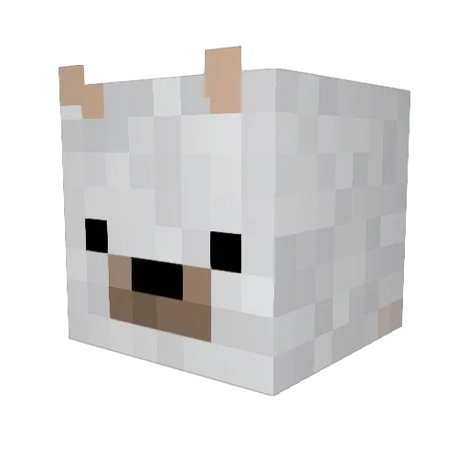 Liu24 Minecraft avatar head, 3D render