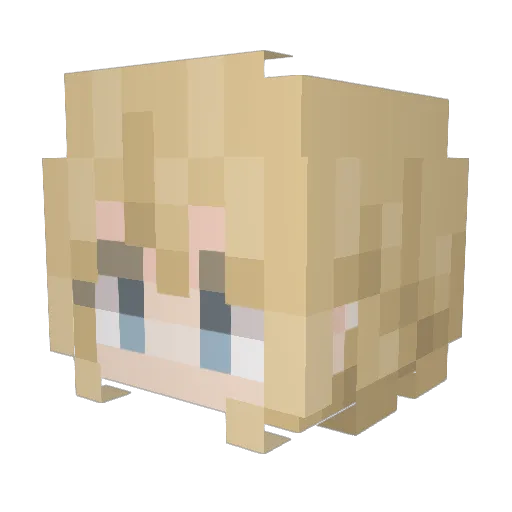 Liu456 Minecraft avatar head, 3D render