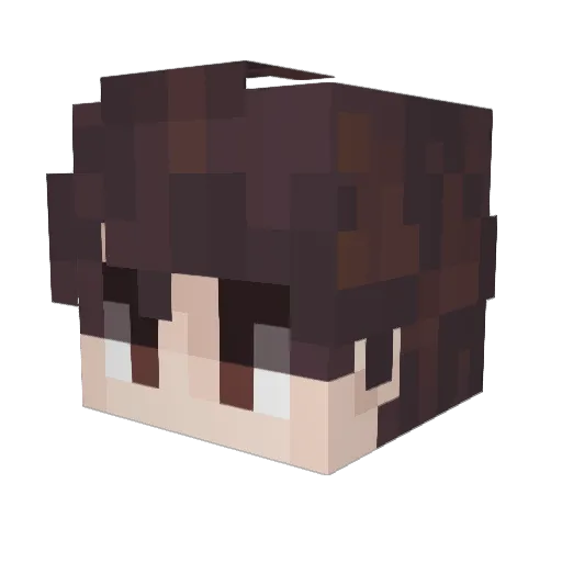 LiuJaehan Minecraft avatar head, 3D render