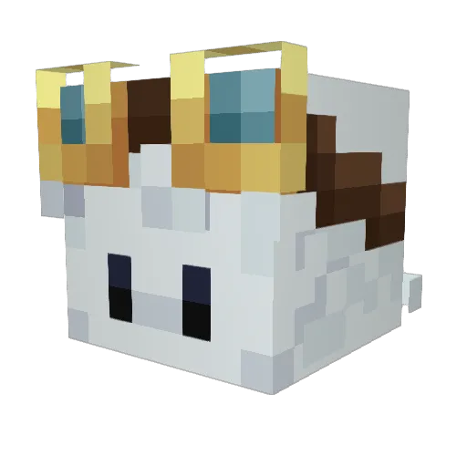LiuLee99312 Minecraft avatar head, 3D render