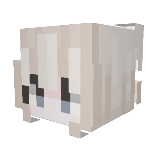 Liulii Minecraft avatar head, 3D render